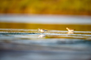 _DSC3321