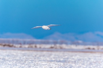 _DSC8813