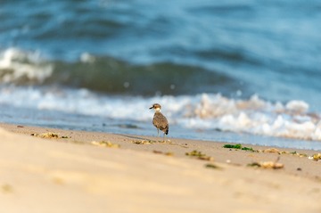 _DSC7557