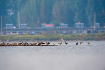 _DSC4177