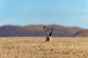 _DSC5164