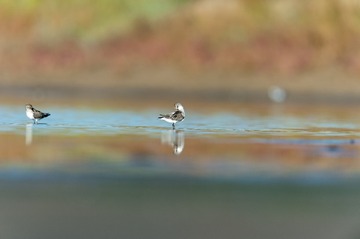 _DSC7194