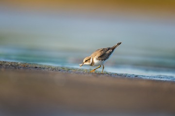 _DSC5056