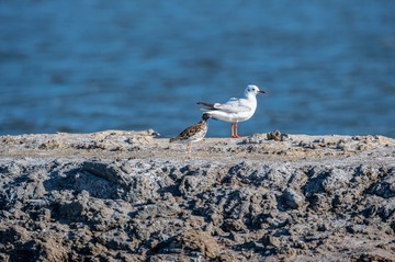 _DSC8224