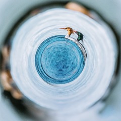 6