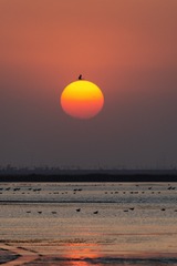 _DSC8794