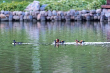 _DSC5899