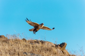 _DSC5111