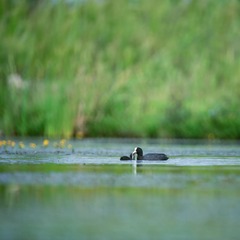 _DSC7612