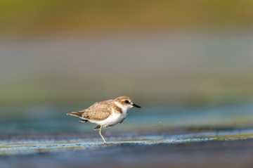 _DSC5585