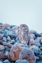 _DSC7128
