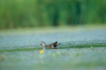 _DSC7750