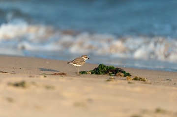 _DSC7545