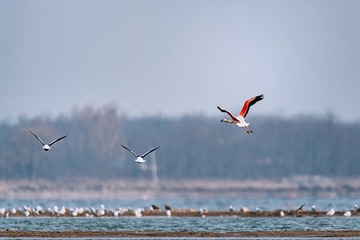 2DSC_5790