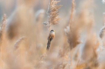 _DSC6402
