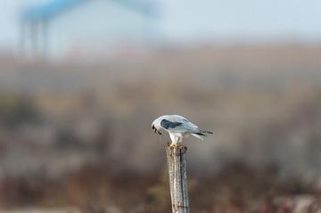 _DSC7058