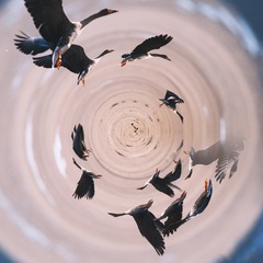 7
