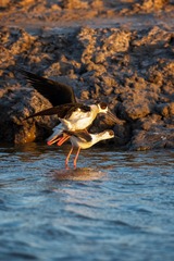 _DSC8425-01-01