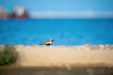 _DSC2552