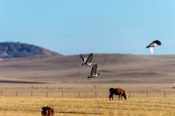 _DSC5069