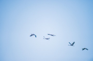 _DSC7363