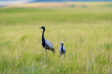 _DSC0818