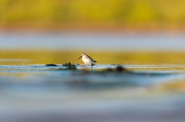 _DSC3861