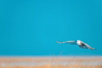 _DSC7656
