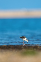 _DSC2593-01