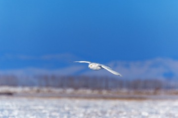 _DSC8815