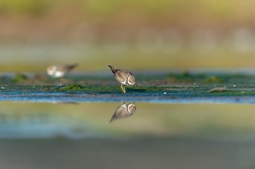 _DSC7091
