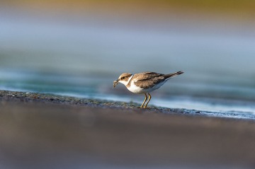_DSC5057