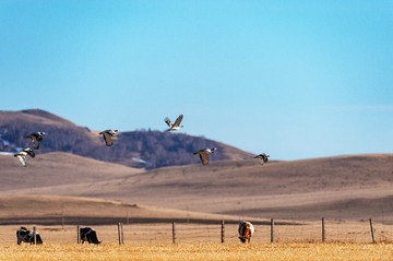 _DSC5088