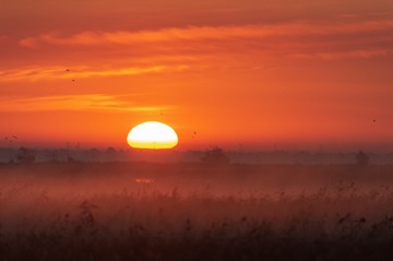 _DSC9840