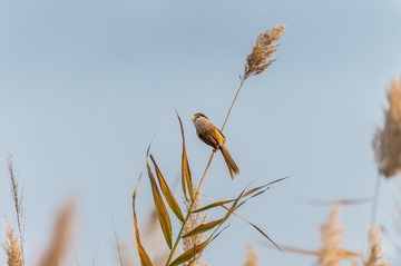 _DSC6608
