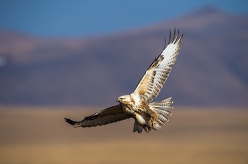 _DSC6569