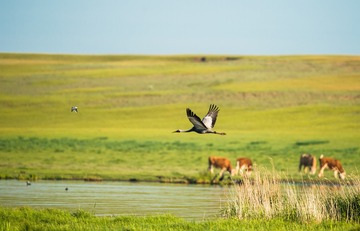 _DSC0604