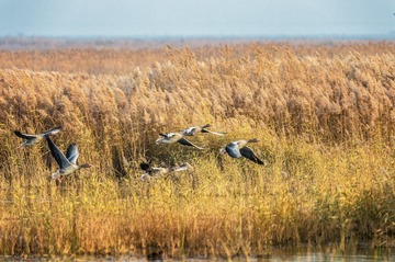 _DSC7182