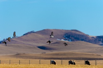 _DSC5085