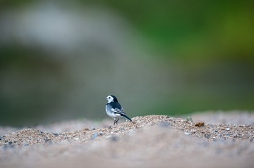 _DSC3859