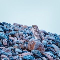 _DSC7138