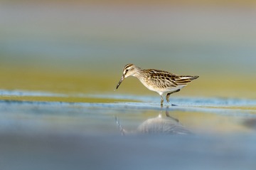 _DSC5880