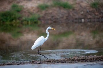 _DSC7840
