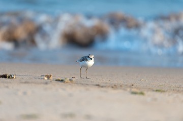 _DSC7497