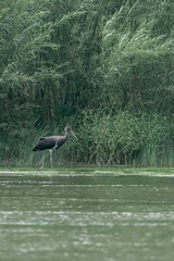 _DSC7060