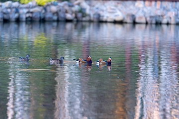 _DSC5608