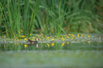 _DSC7719
