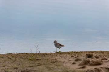 _DSC7835