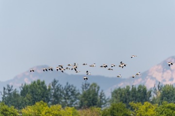 _DSC1366
