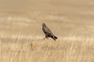 _DSC5004